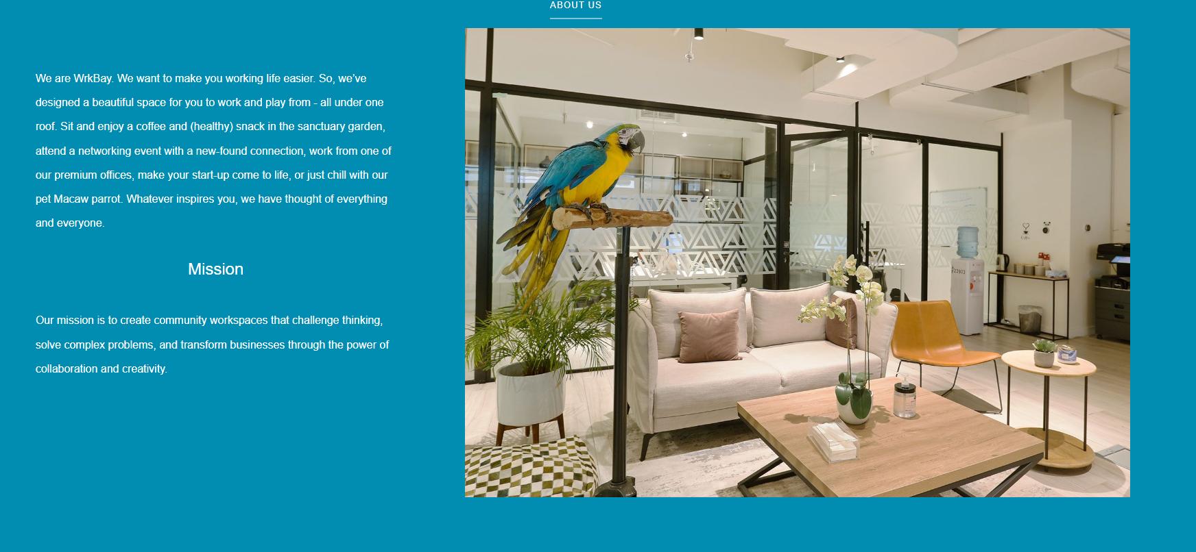 Screenshot of WrkBay - one of the top coworking spaces in Dubai.