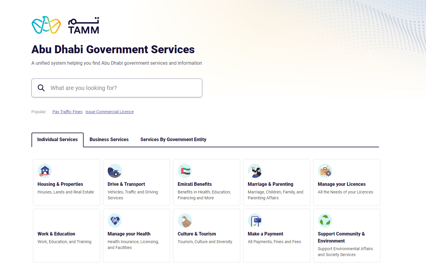 An image of TAMM- government services.