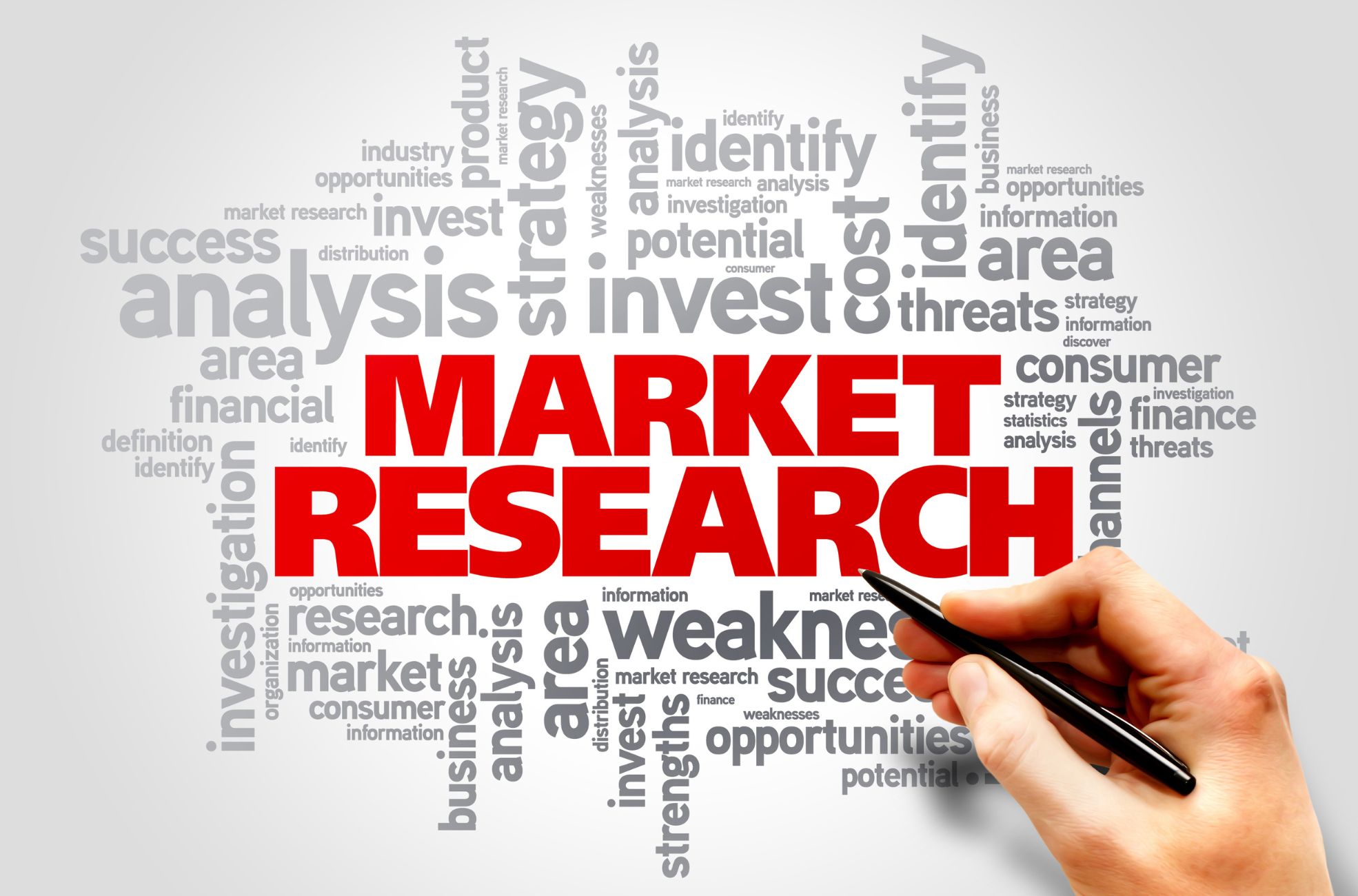 words to do with market research