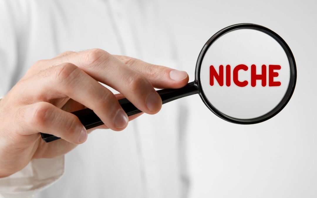 What is Niche Marketing: A Comprehensive Guide For Entrepreneurs In Dubai