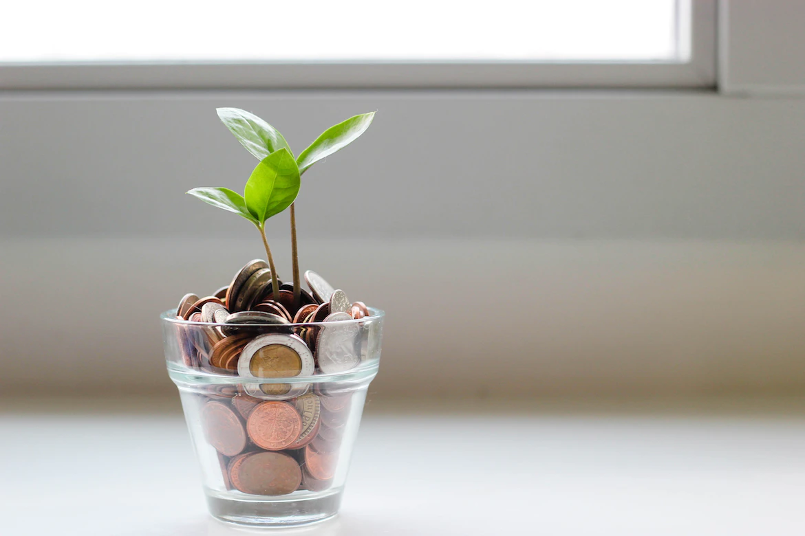 stock photo plant growing from glass of coins