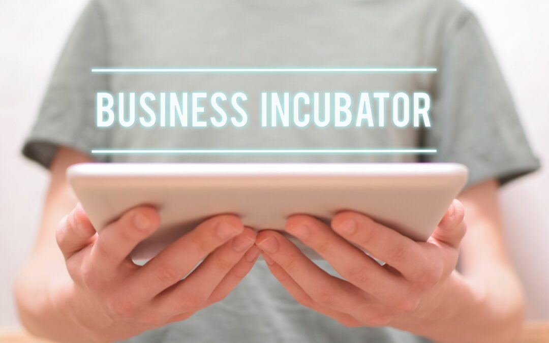 Fueling the Future: The Role of Business Incubators in Startup Success