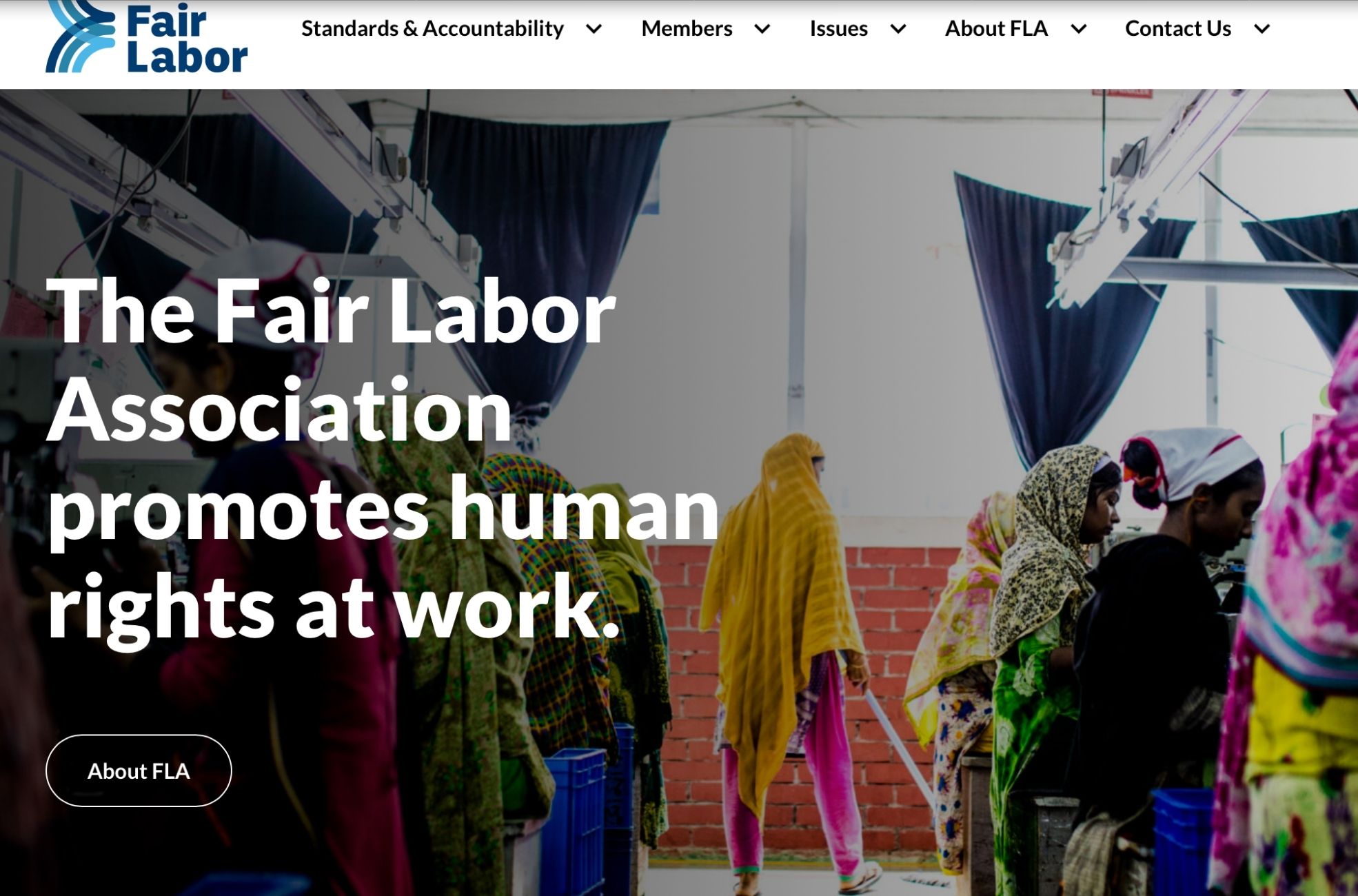 Screenshot Of Fair Labor Website