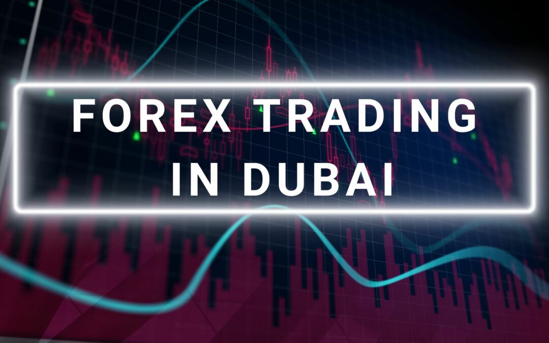 Embracing Volatility: Your Guide to Forex Trading in Dubai