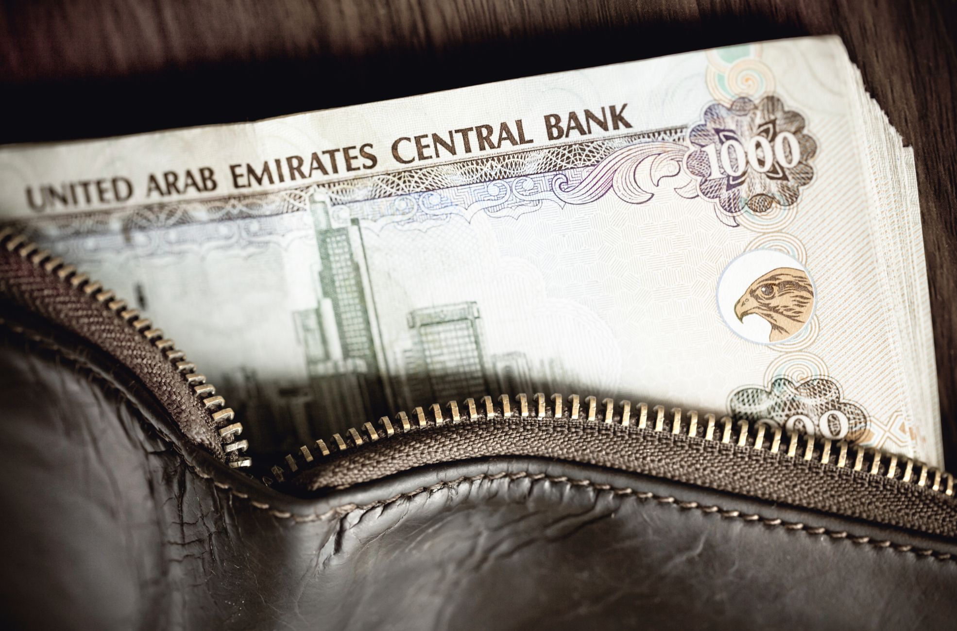 UAE Bank Notes In Wallet