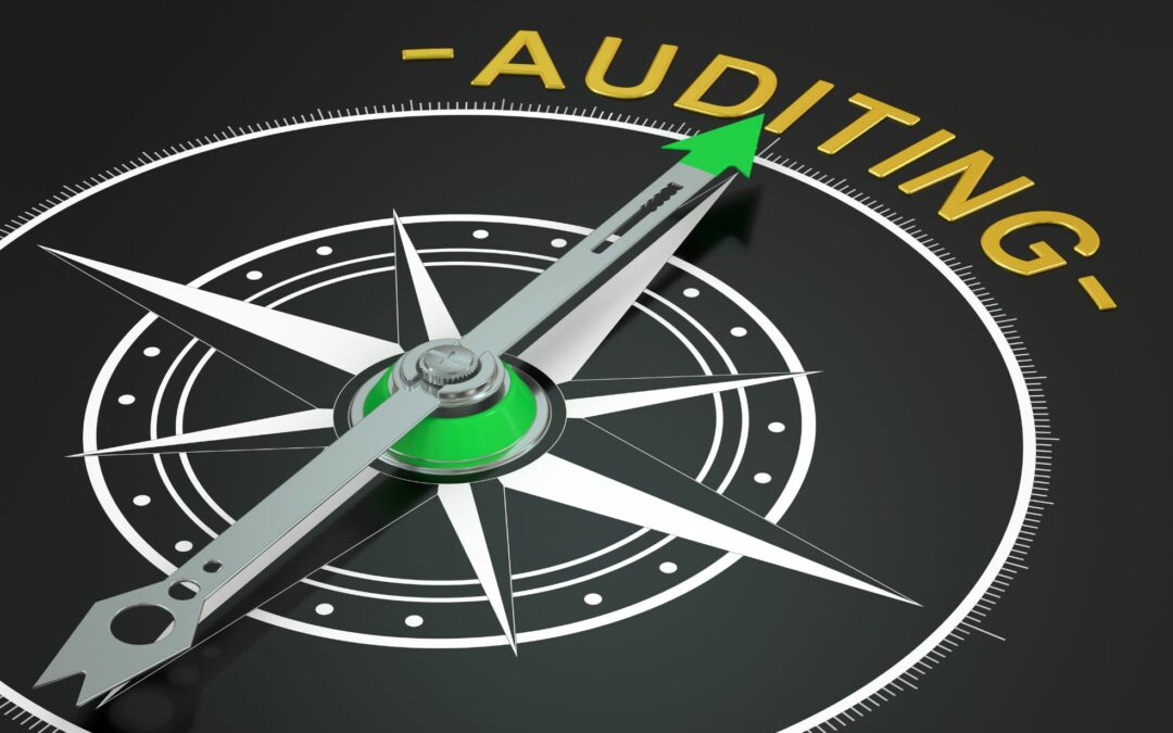 A Guide To The Top Audit Firms in Dubai