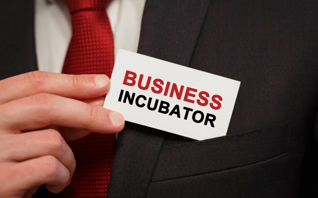 The Role of Dubai’s Startup Incubators in Emerging Businesses