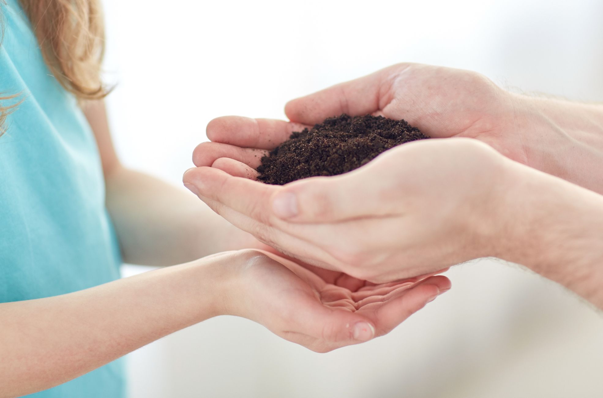Hands Sharing Soil