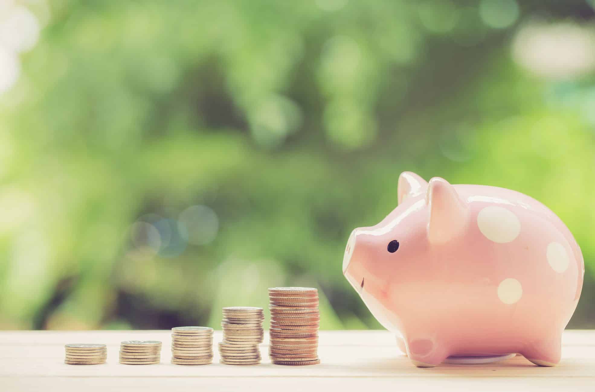 Piggy Bank And Money