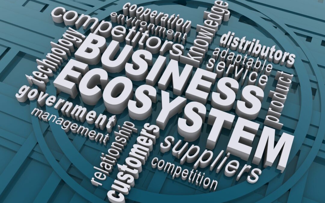 The Ecosystem of Success: Unpacking the Business Environment