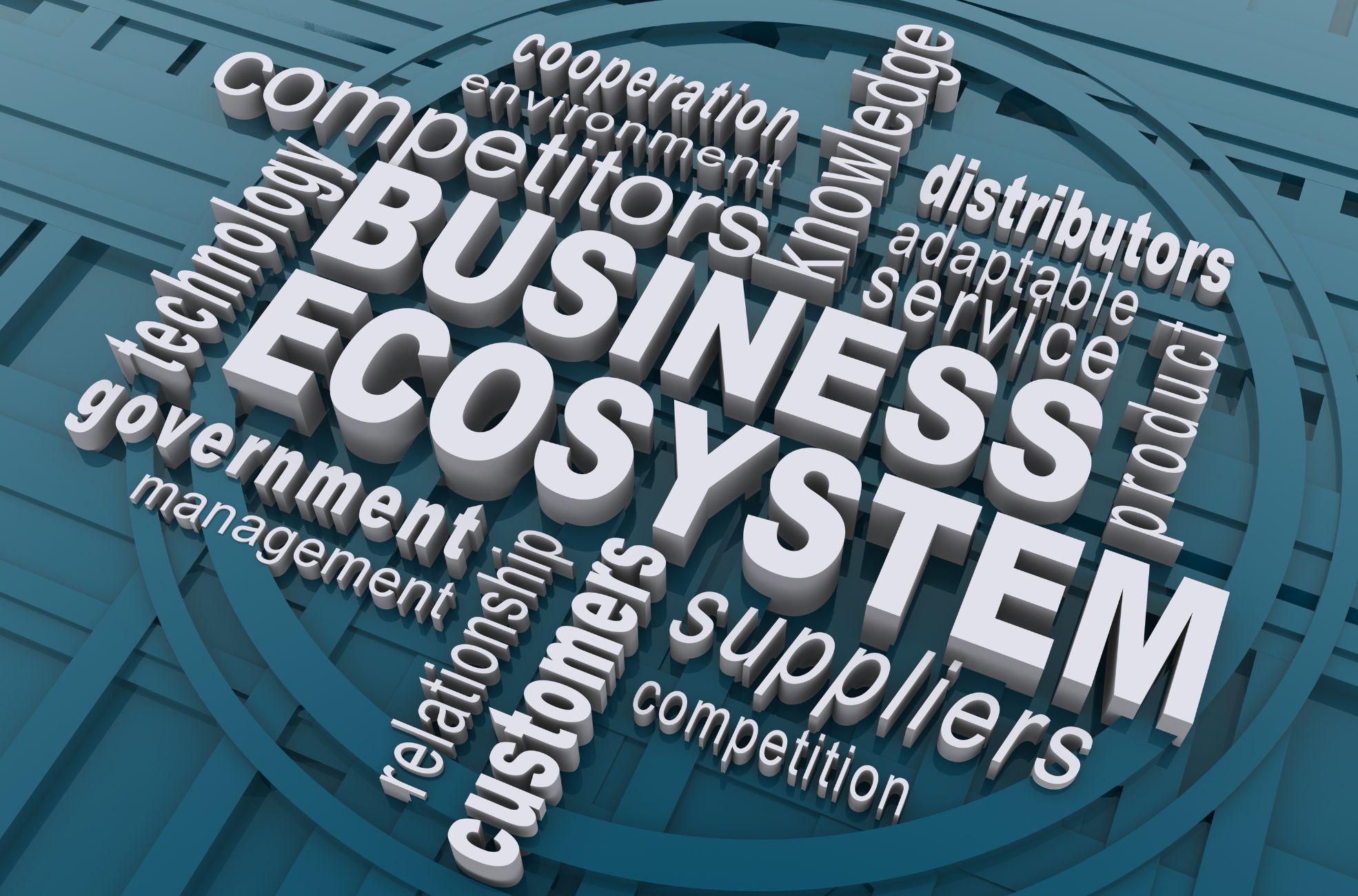 Business Environment And Ecosystem Word Diagram