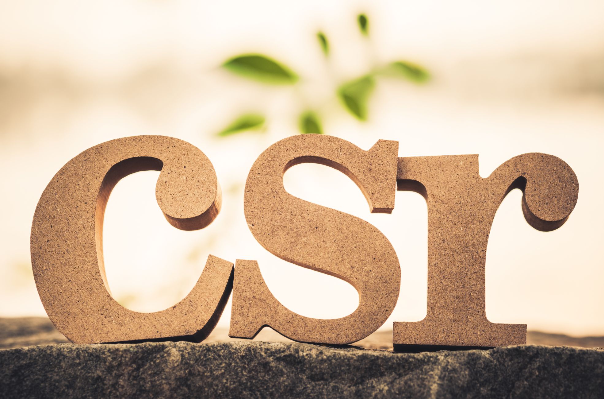 CSR Written With Wooden Blocks