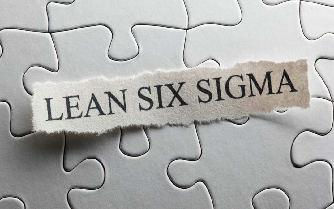 Lean Six Sigma: Definition, Advantages, and Examples