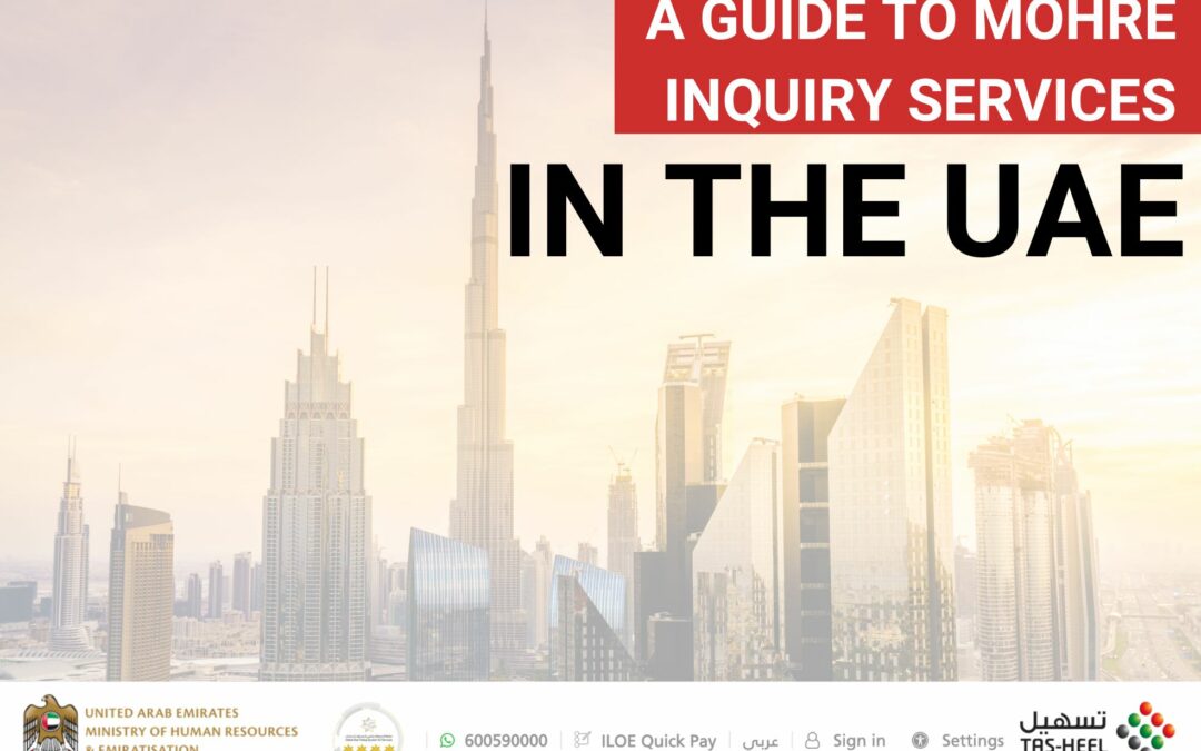 A Guide To MoHRE Inquiry Services in the UAE