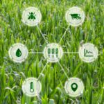 Agritech Diagram On Grassy Background