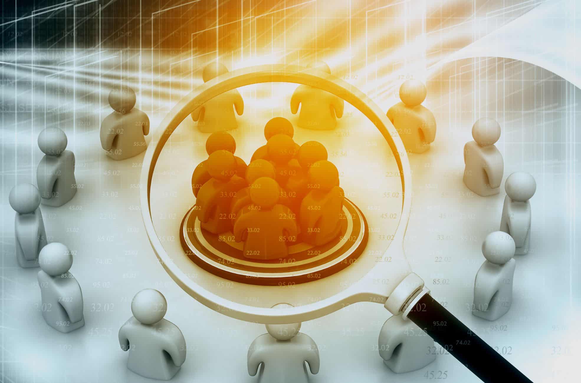 Niche Audience Under Magnifying Glass